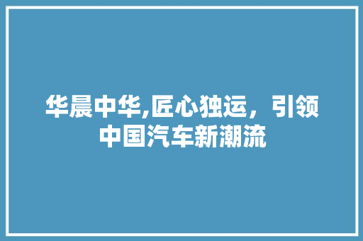 华晨中华,匠心独运，引领中国汽车新潮流