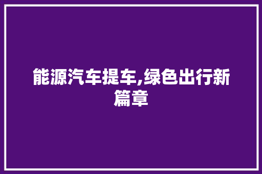 能源汽车提车,绿色出行新篇章