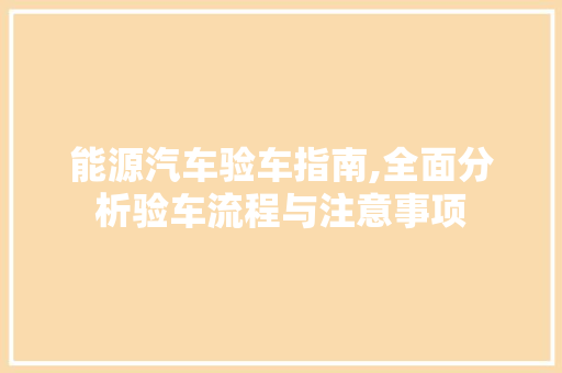 能源汽车验车指南,全面分析验车流程与注意事项