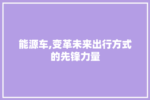 能源车,变革未来出行方式的先锋力量