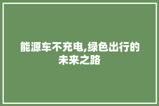 能源车不充电,绿色出行的未来之路