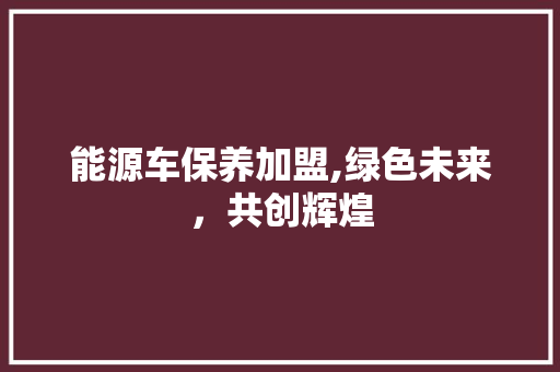 能源车保养加盟,绿色未来，共创辉煌