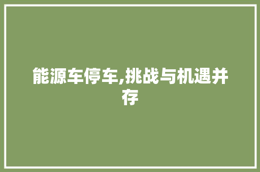 能源车停车,挑战与机遇并存