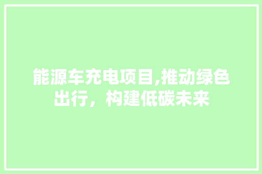 能源车充电项目,推动绿色出行，构建低碳未来