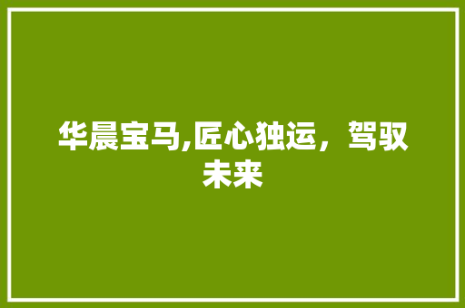 华晨宝马,匠心独运，驾驭未来