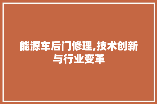 能源车后门修理,技术创新与行业变革