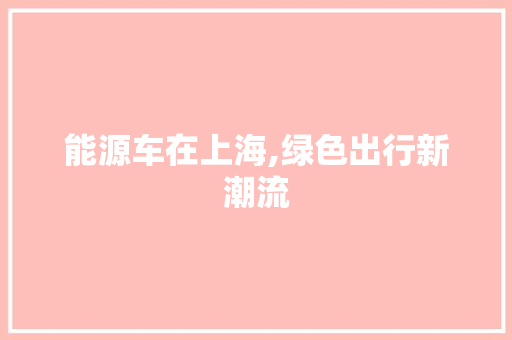能源车在上海,绿色出行新潮流