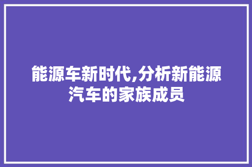 能源车新时代,分析新能源汽车的家族成员 车身配件