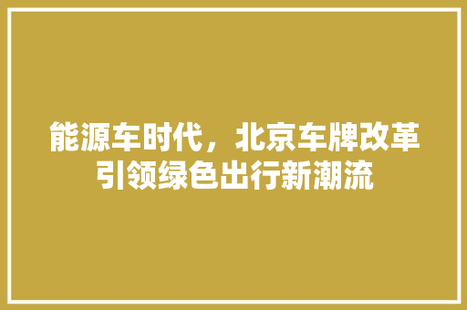 能源车时代，北京车牌改革引领绿色出行新潮流