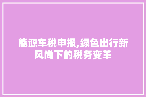 能源车税申报,绿色出行新风尚下的税务变革