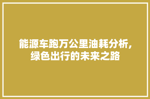 能源车跑万公里油耗分析,绿色出行的未来之路