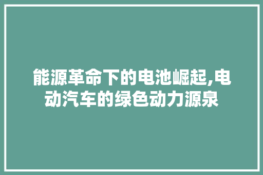能源革命下的电池崛起,电动汽车的绿色动力源泉