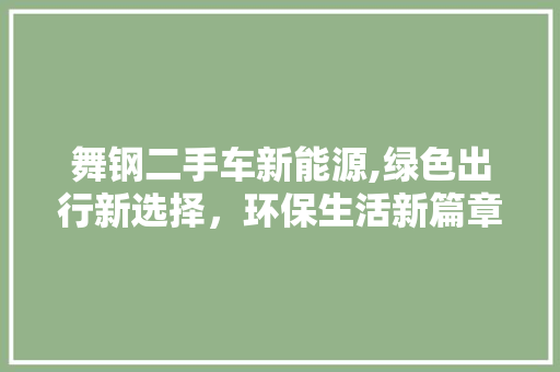 舞钢二手车新能源,绿色出行新选择，环保生活新篇章
