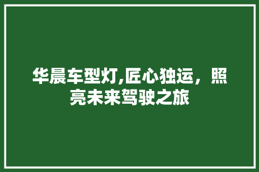 华晨车型灯,匠心独运，照亮未来驾驶之旅