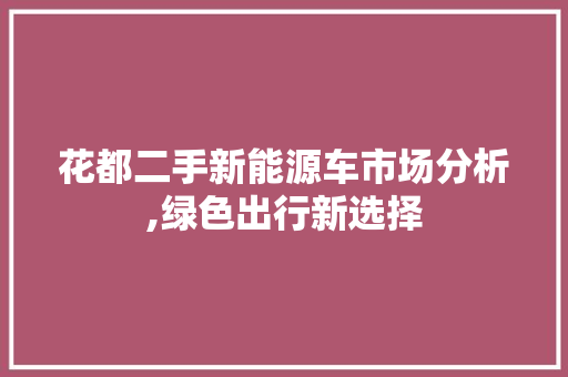 花都二手新能源车市场分析,绿色出行新选择