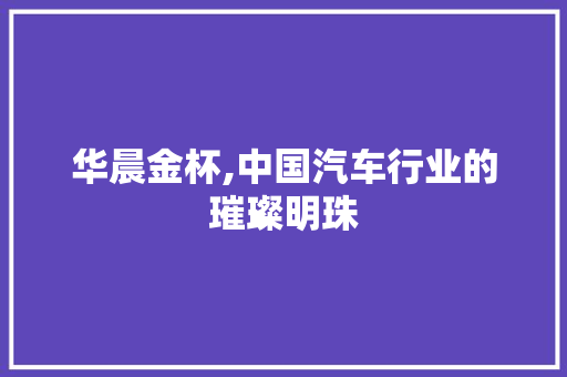 华晨金杯,中国汽车行业的璀璨明珠