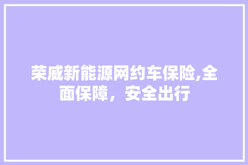 荣威新能源网约车保险,全面保障，安全出行