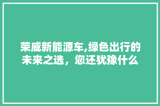 荣威新能源车,绿色出行的未来之选，您还犹豫什么