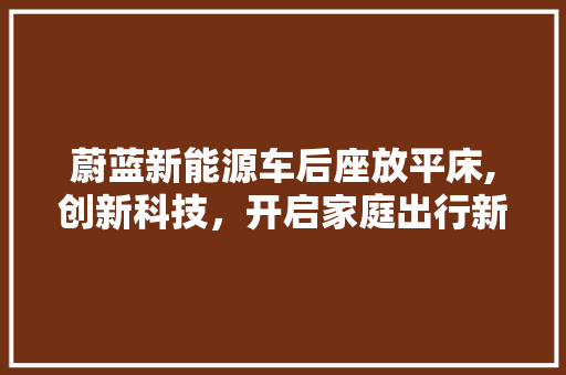 蔚蓝新能源车后座放平床,创新科技，开启家庭出行新境界