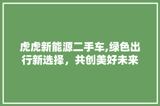 虎虎新能源二手车,绿色出行新选择，共创美好未来