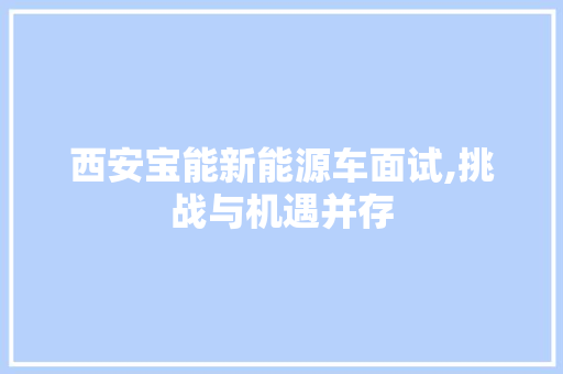 西安宝能新能源车面试,挑战与机遇并存