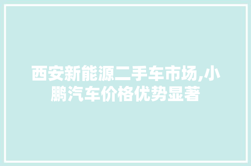 西安新能源二手车市场,小鹏汽车价格优势显著