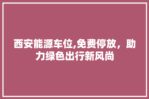 西安能源车位,免费停放，助力绿色出行新风尚
