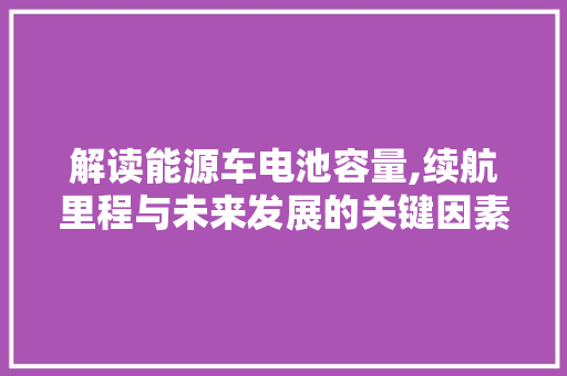 解读能源车电池容量,续航里程与未来发展的关键因素