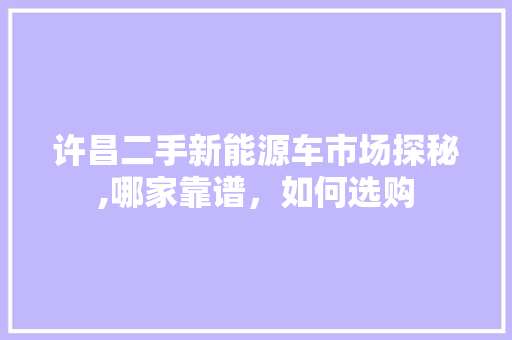许昌二手新能源车市场探秘,哪家靠谱，如何选购