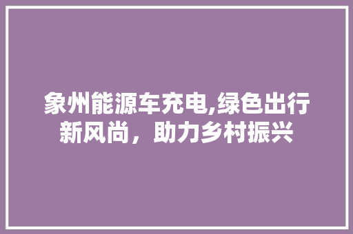 象州能源车充电,绿色出行新风尚，助力乡村振兴