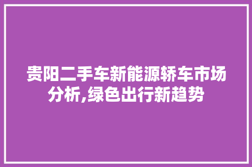 贵阳二手车新能源轿车市场分析,绿色出行新趋势