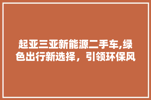 起亚三亚新能源二手车,绿色出行新选择，引领环保风尚