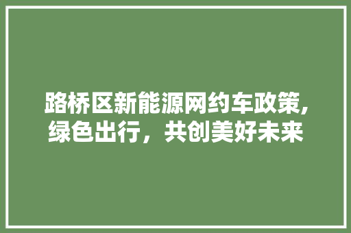路桥区新能源网约车政策,绿色出行，共创美好未来