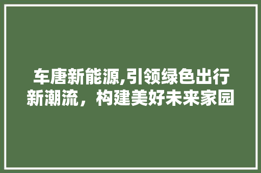 车唐新能源,引领绿色出行新潮流，构建美好未来家园