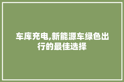 车库充电,新能源车绿色出行的最佳选择