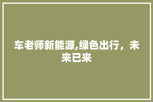 车老师新能源,绿色出行，未来已来