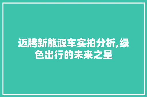 迈腾新能源车实拍分析,绿色出行的未来之星