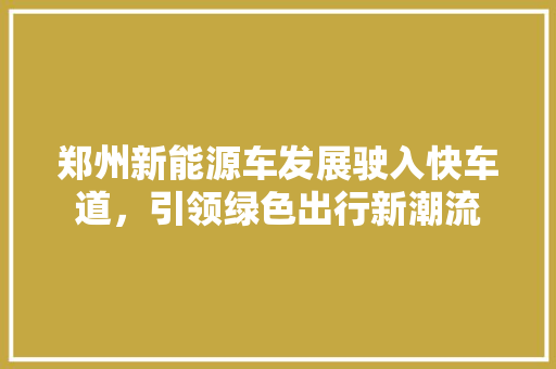 郑州新能源车发展驶入快车道，引领绿色出行新潮流