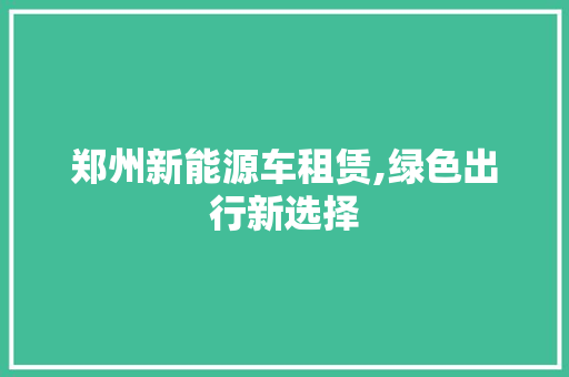郑州新能源车租赁,绿色出行新选择