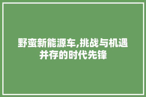 野蛮新能源车,挑战与机遇并存的时代先锋