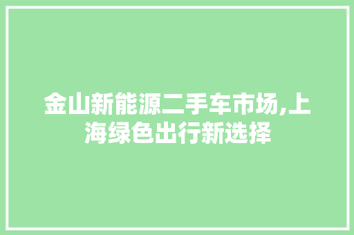 金山新能源二手车市场,上海绿色出行新选择