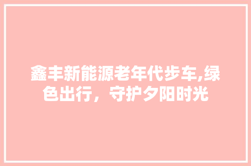 鑫丰新能源老年代步车,绿色出行，守护夕阳时光