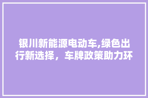 银川新能源电动车,绿色出行新选择，车牌政策助力环保潮流