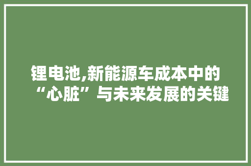 锂电池,新能源车成本中的“心脏”与未来发展的关键