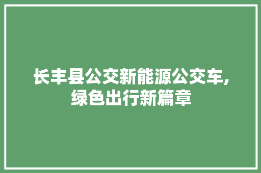 长丰县公交新能源公交车,绿色出行新篇章