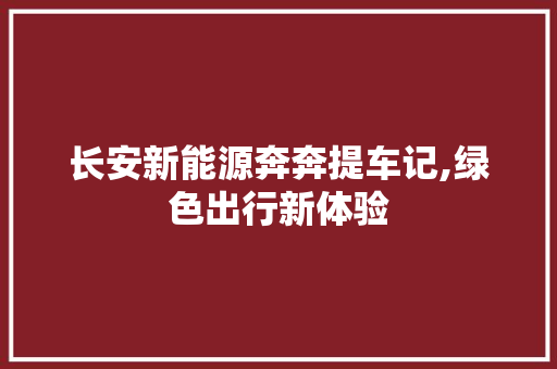 长安新能源奔奔提车记,绿色出行新体验