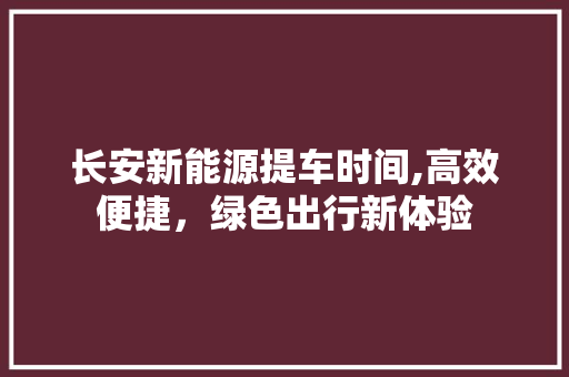 长安新能源提车时间,高效便捷，绿色出行新体验