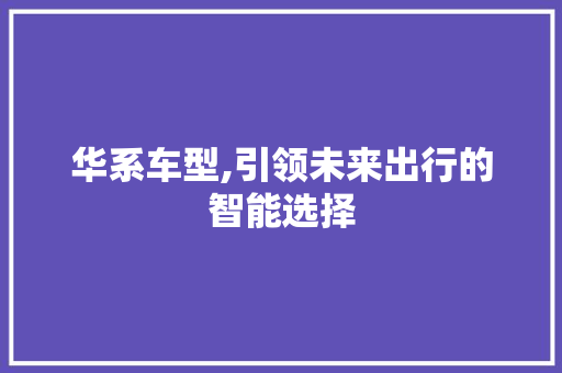 华系车型,引领未来出行的智能选择