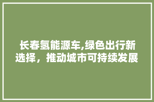长春氢能源车,绿色出行新选择，推动城市可持续发展