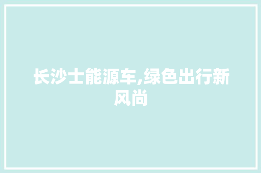 长沙士能源车,绿色出行新风尚